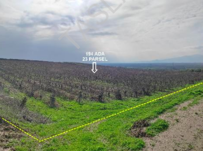 MANİSA SARUHANLI'DA 30.619 M2 SATILIK TARLA (101196475)